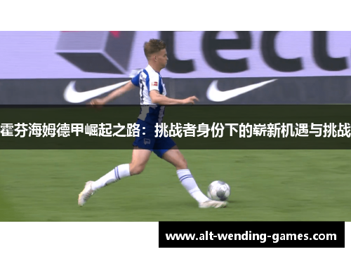 霍芬海姆德甲崛起之路:挑战者身份下的崭新机遇与挑战 霍芬海姆德甲崛起之路:挑战者身份下的崭新机遇与挑战